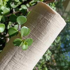Linan Slub Cotton Fabric
