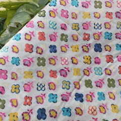 Muslin Silk Printed Fabric