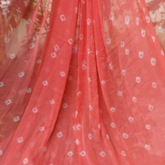 Chiffon Dupatta Pieces