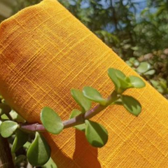 Linan Slub Cotton Fabric