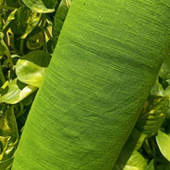 Linan Slub Cotton Fabric